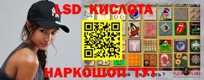 ГАЛЛЮЦИНОГЕННЫЕ ГРИБЫ Гусев