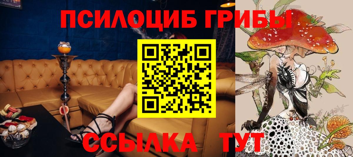 Псилоцибиновые грибы прущие грибы Нижний Новгород
